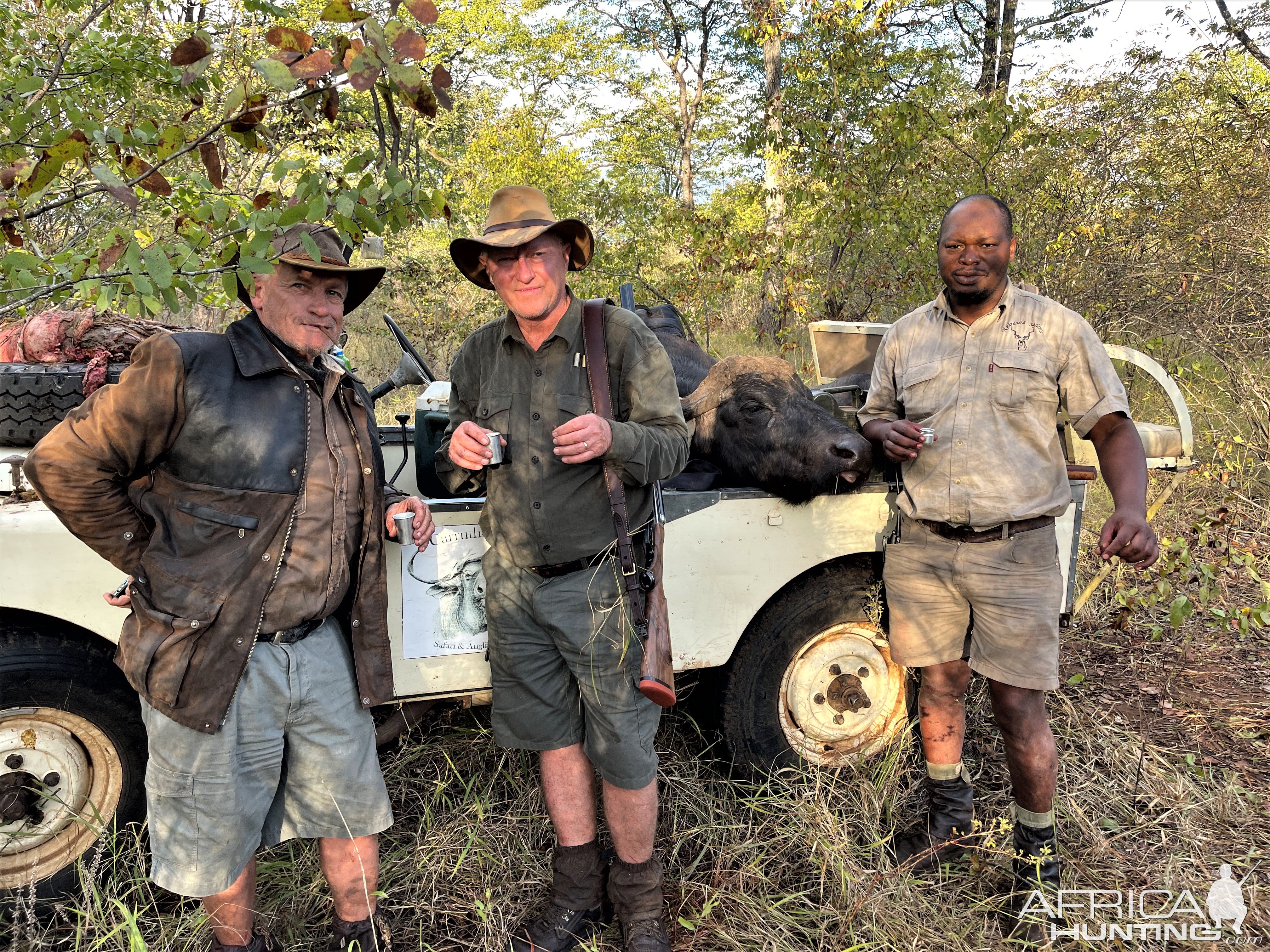 Buffalo Hunt Ngurungundu Zimbabwe