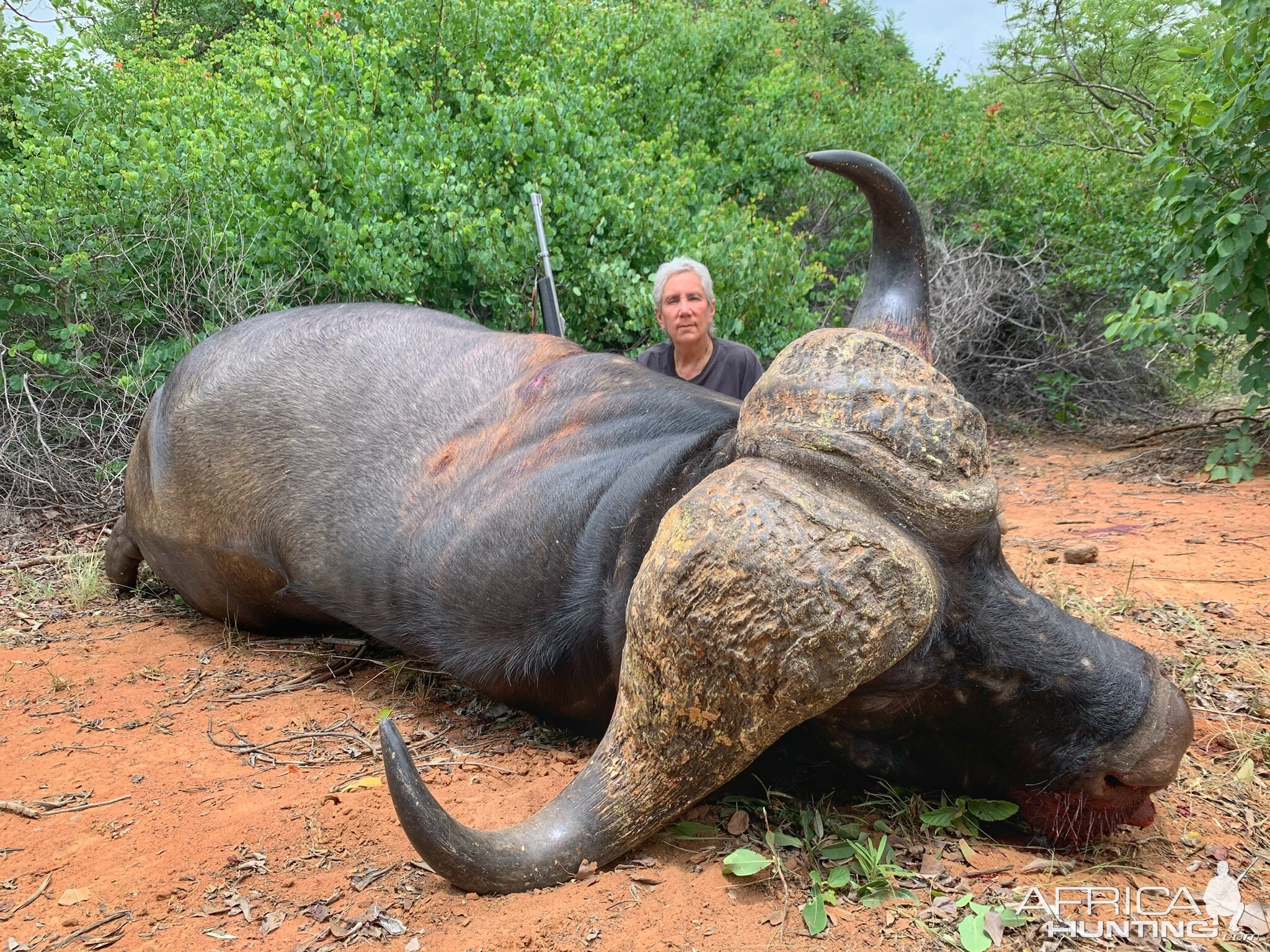 Buffalo Hunt South Africa With Kwalata Safaris