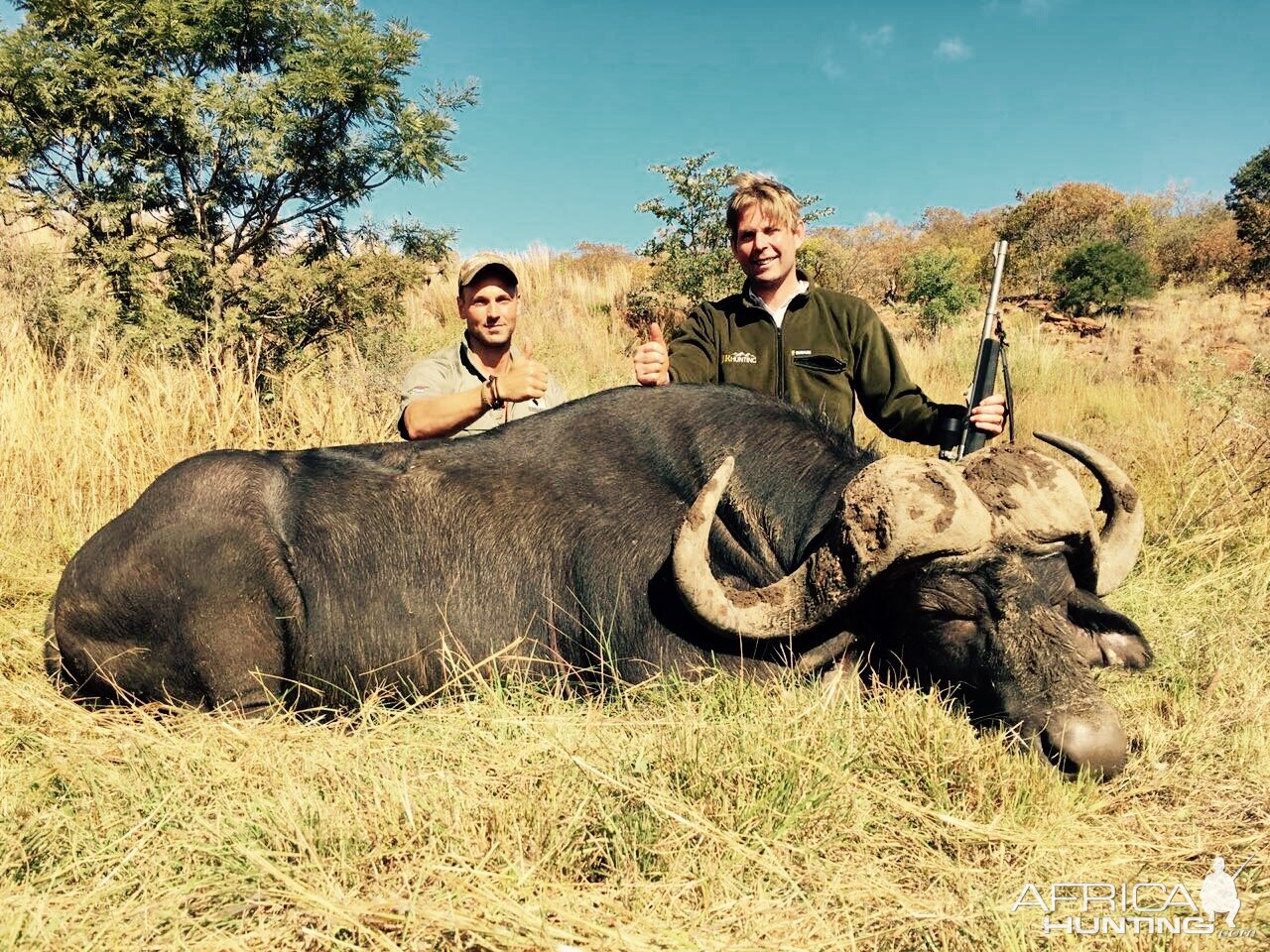Buffalo Hunt South Africa With Kwalata Safaris