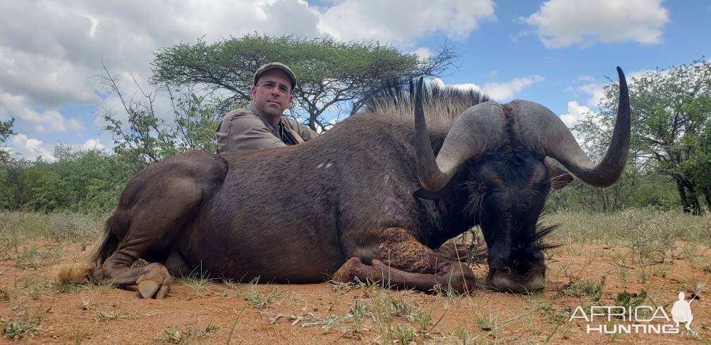 Buffalo Hunt South Africa