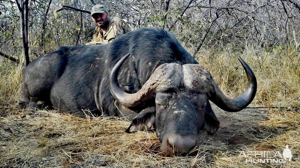 Buffalo Hunt South Africa