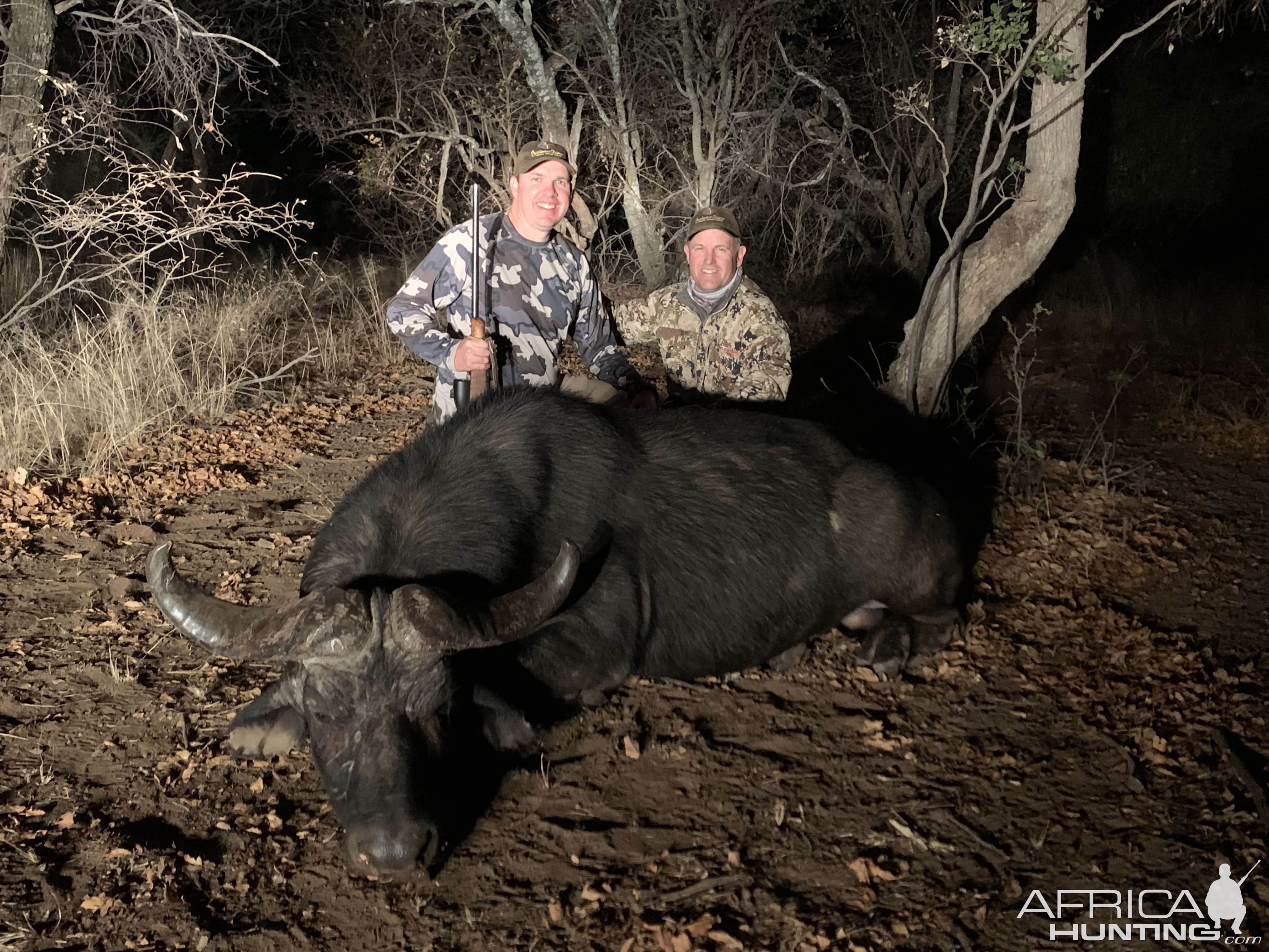 Buffalo Hunt South Africa