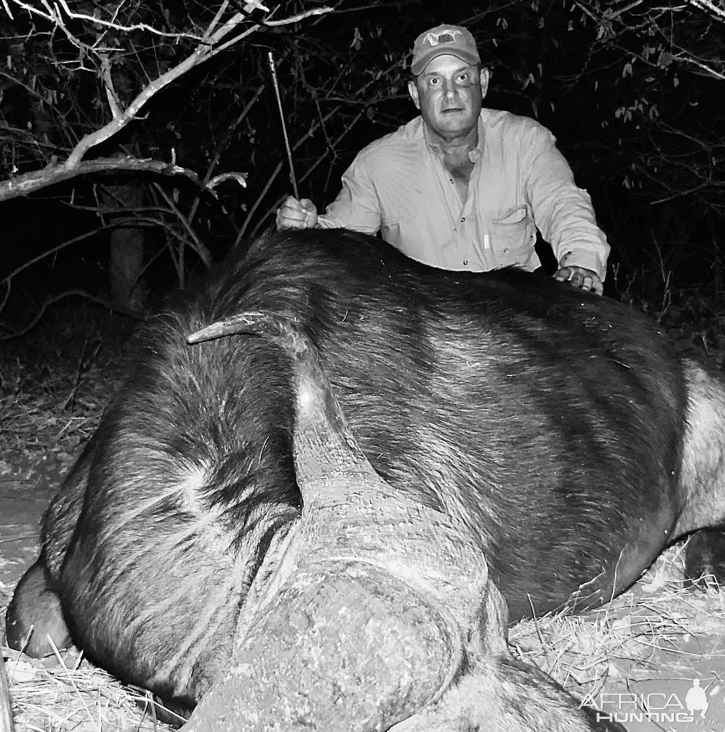 Buffalo Hunt South Africa