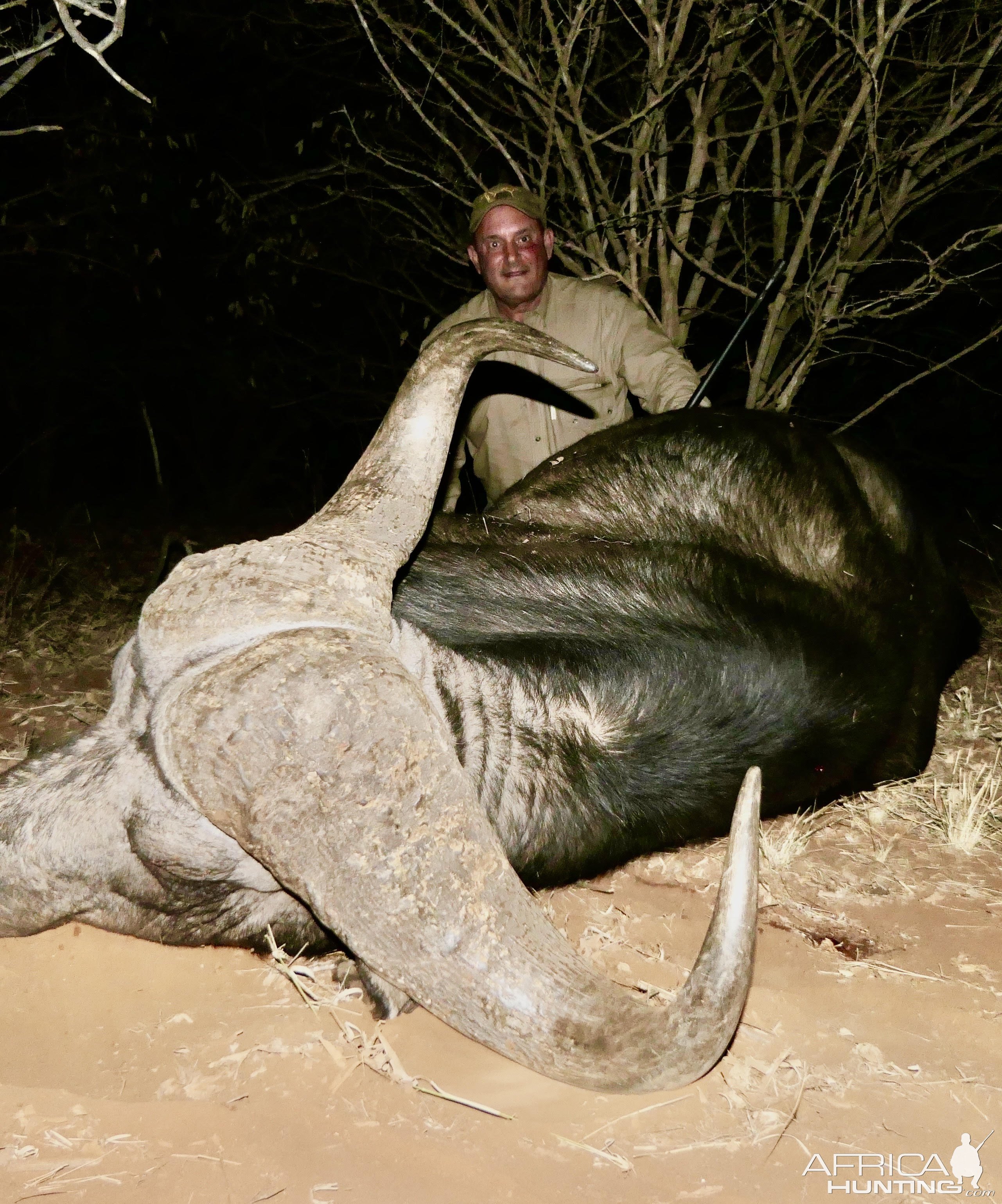 Buffalo Hunt South Africa