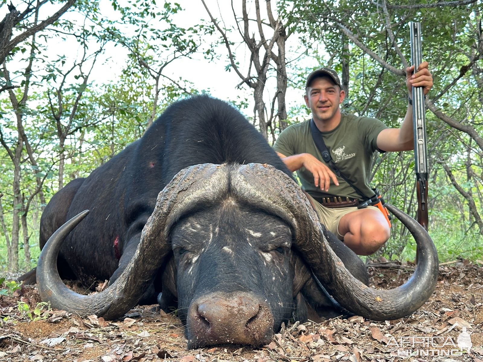 Buffalo Hunt South Africa