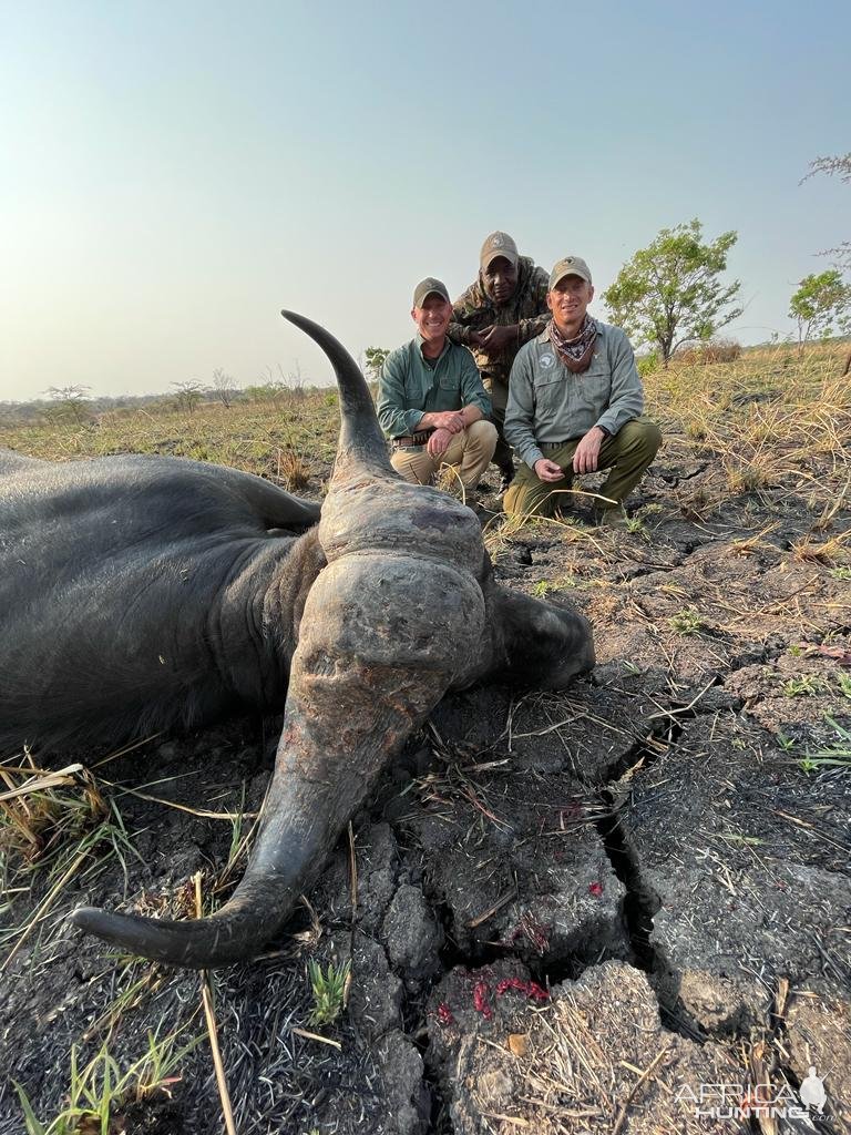 Buffalo Hunt Tanzania