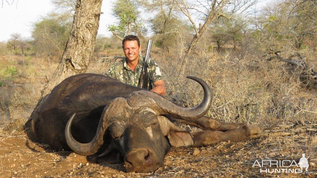 Buffalo hunt with McDonald Safaris