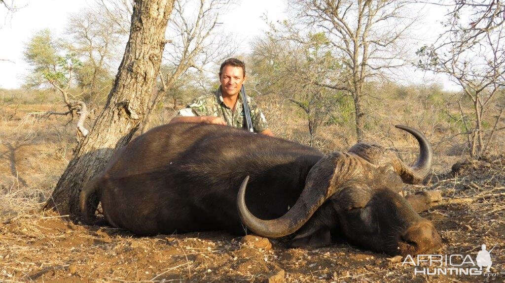 Buffalo hunt with McDonald Safaris