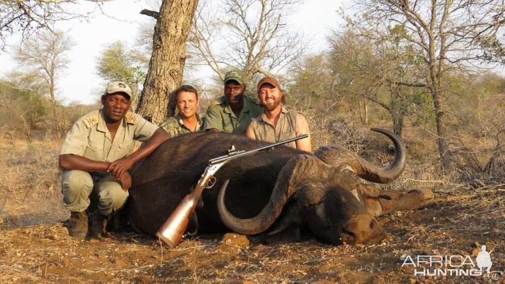 Buffalo hunt with McDonald Safaris