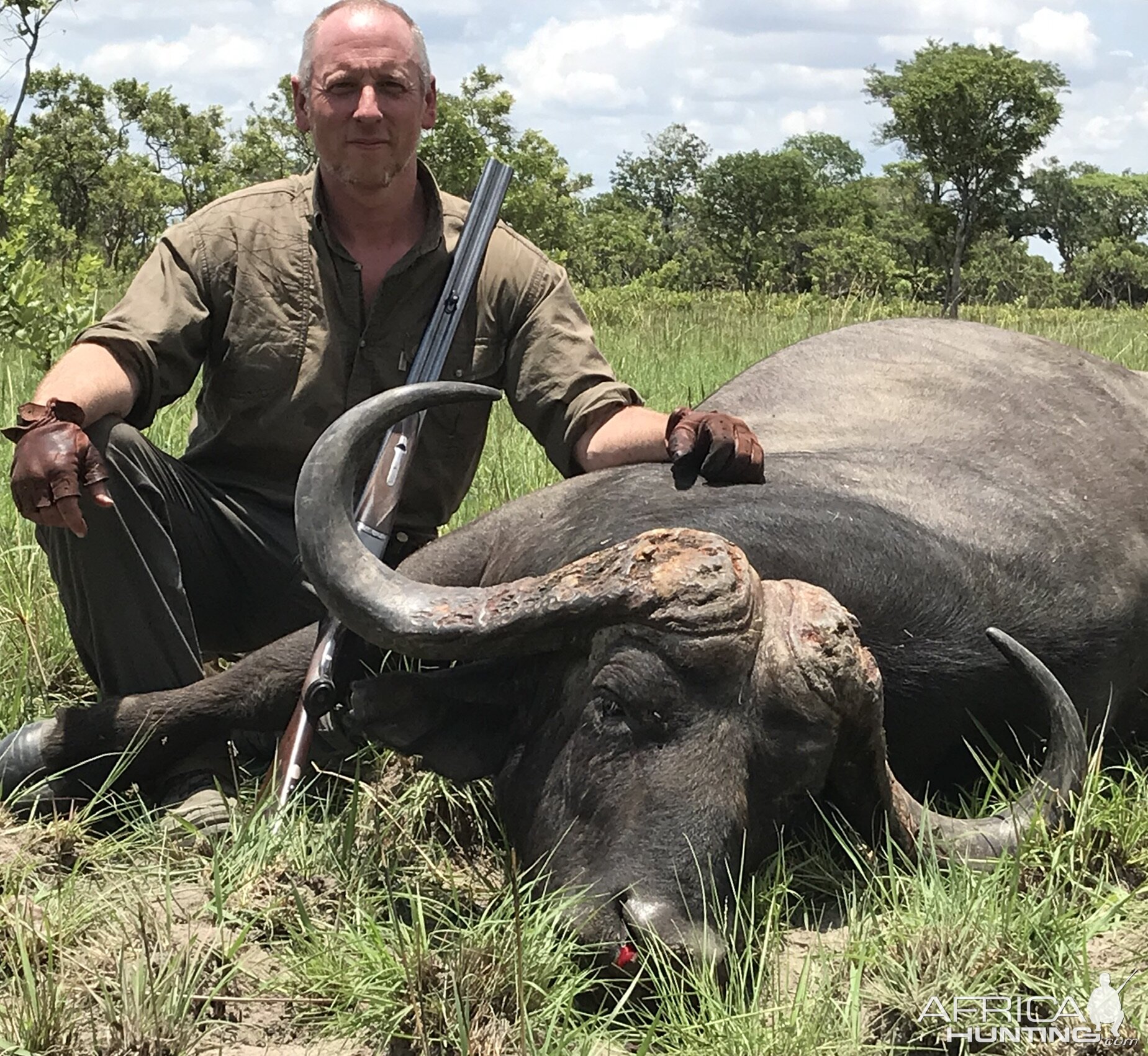 Buffalo Hunt Zambia