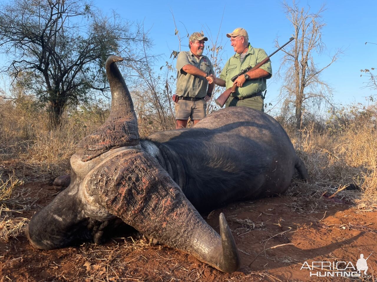 Buffalo Hunt Zimbabwe