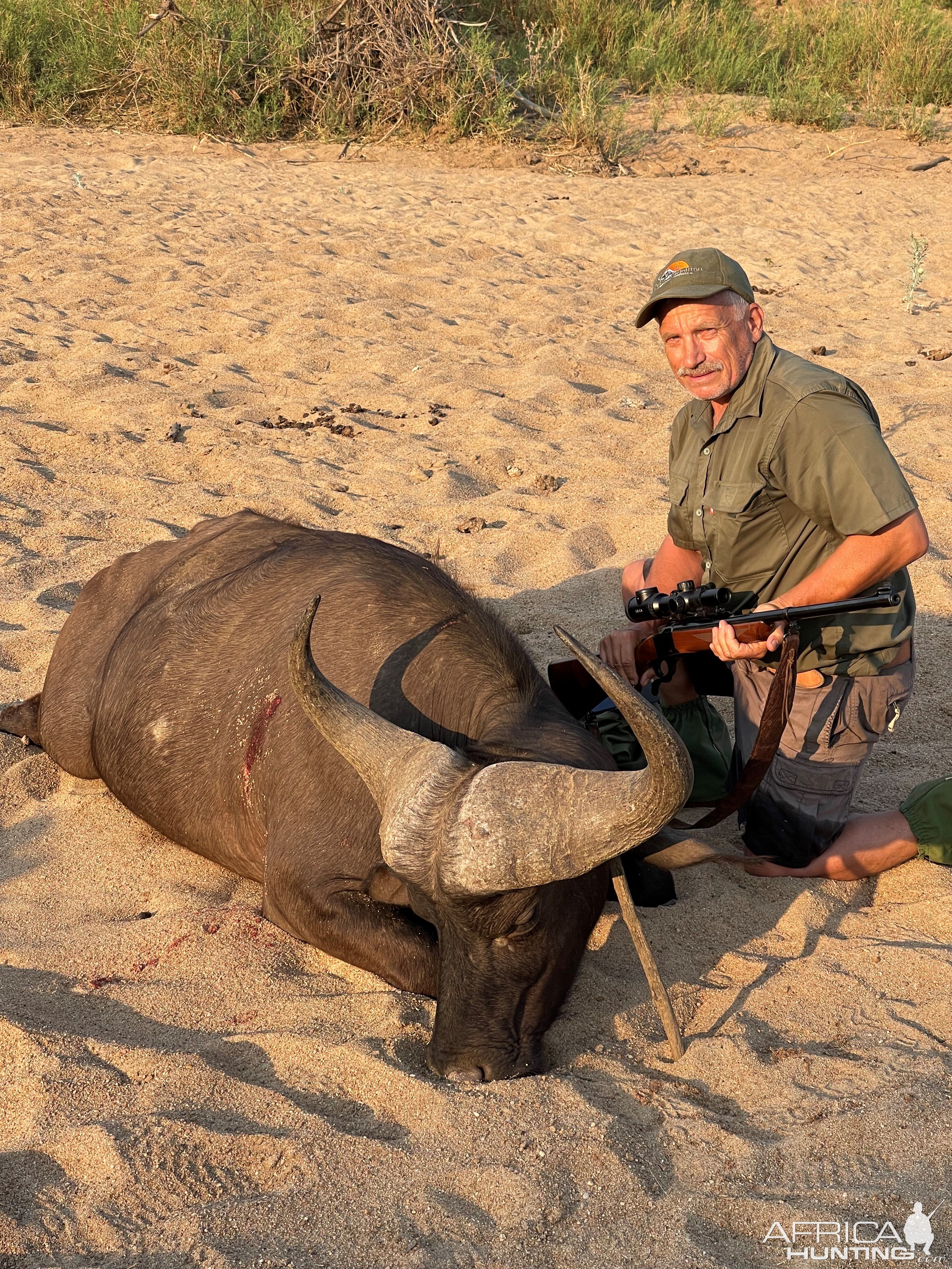 Buffalo Hunt Zimbabwe