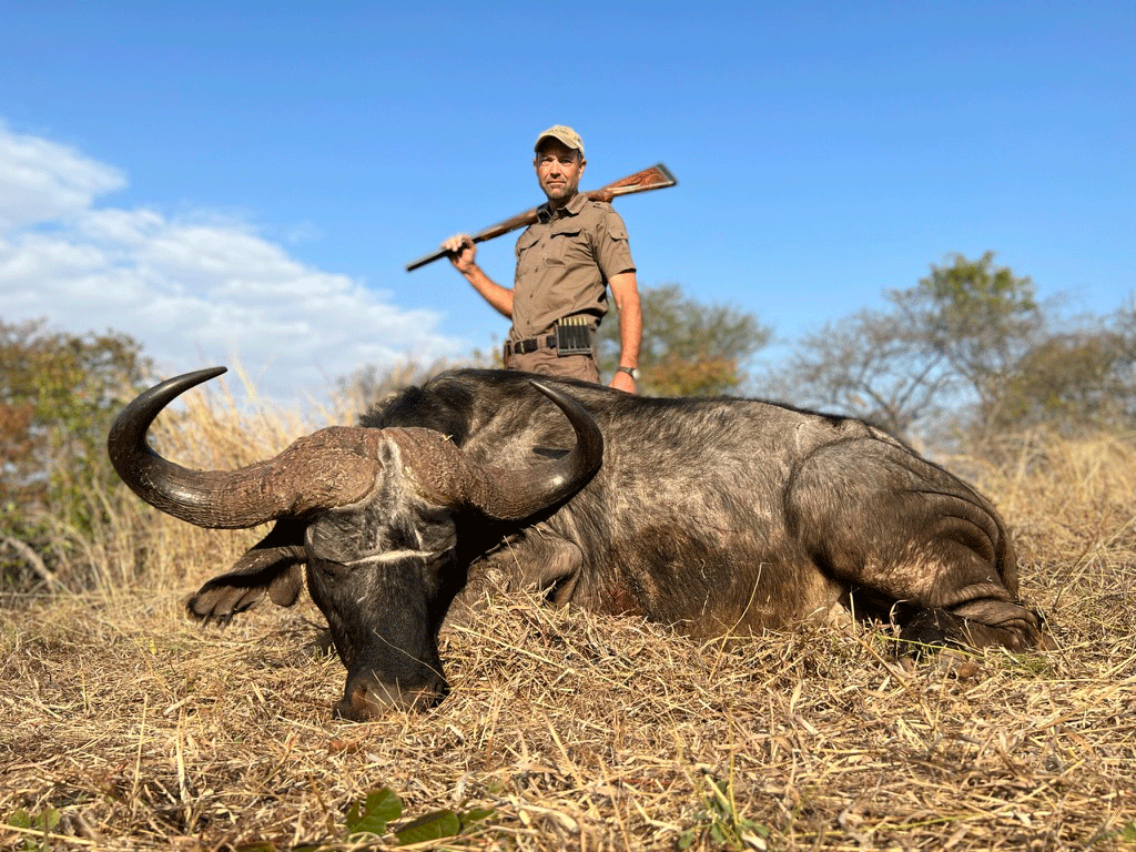 Buffalo Hunt Zimbabwe