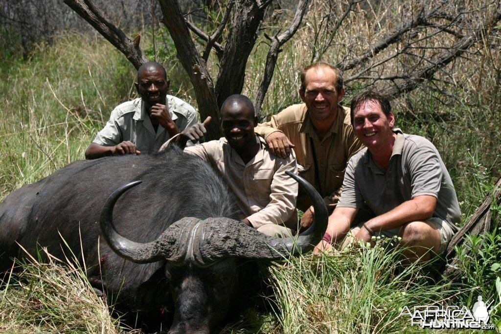 Buffalo hunted in Caprivi Namibia with Van Heerden Safaris