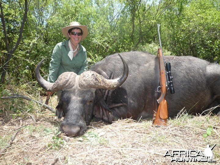 Buffalo hunted in Matetsi Unit 1 Zimbabwe
