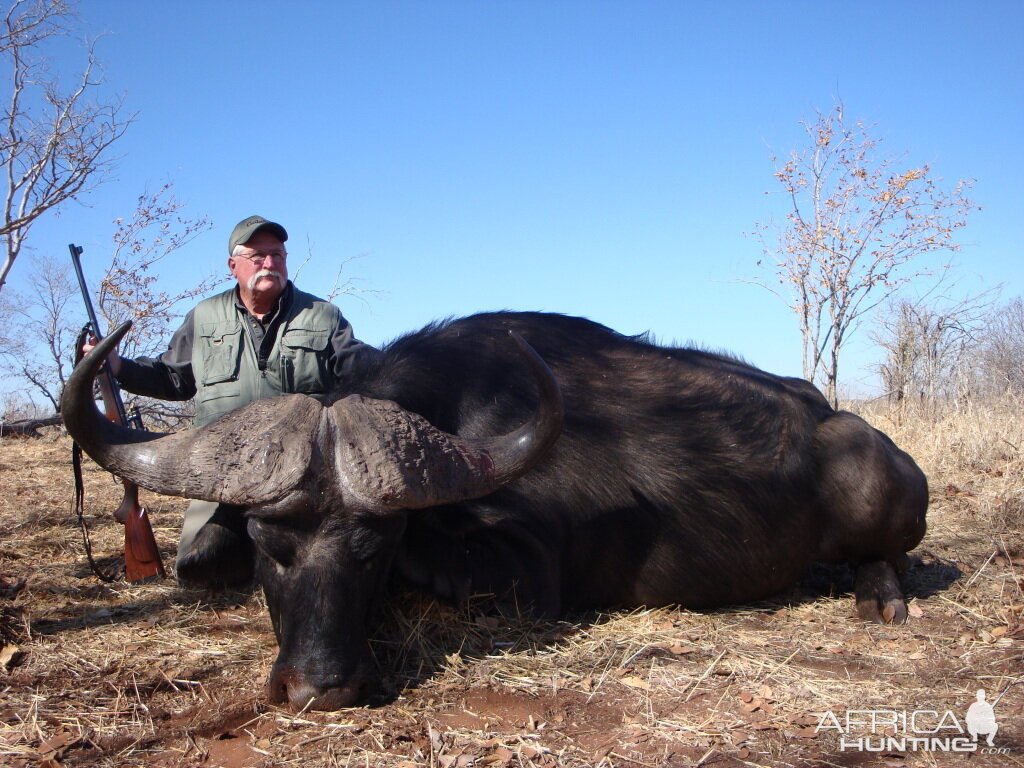 Buffalo hunted with Farren Safaris in Zimbabwe