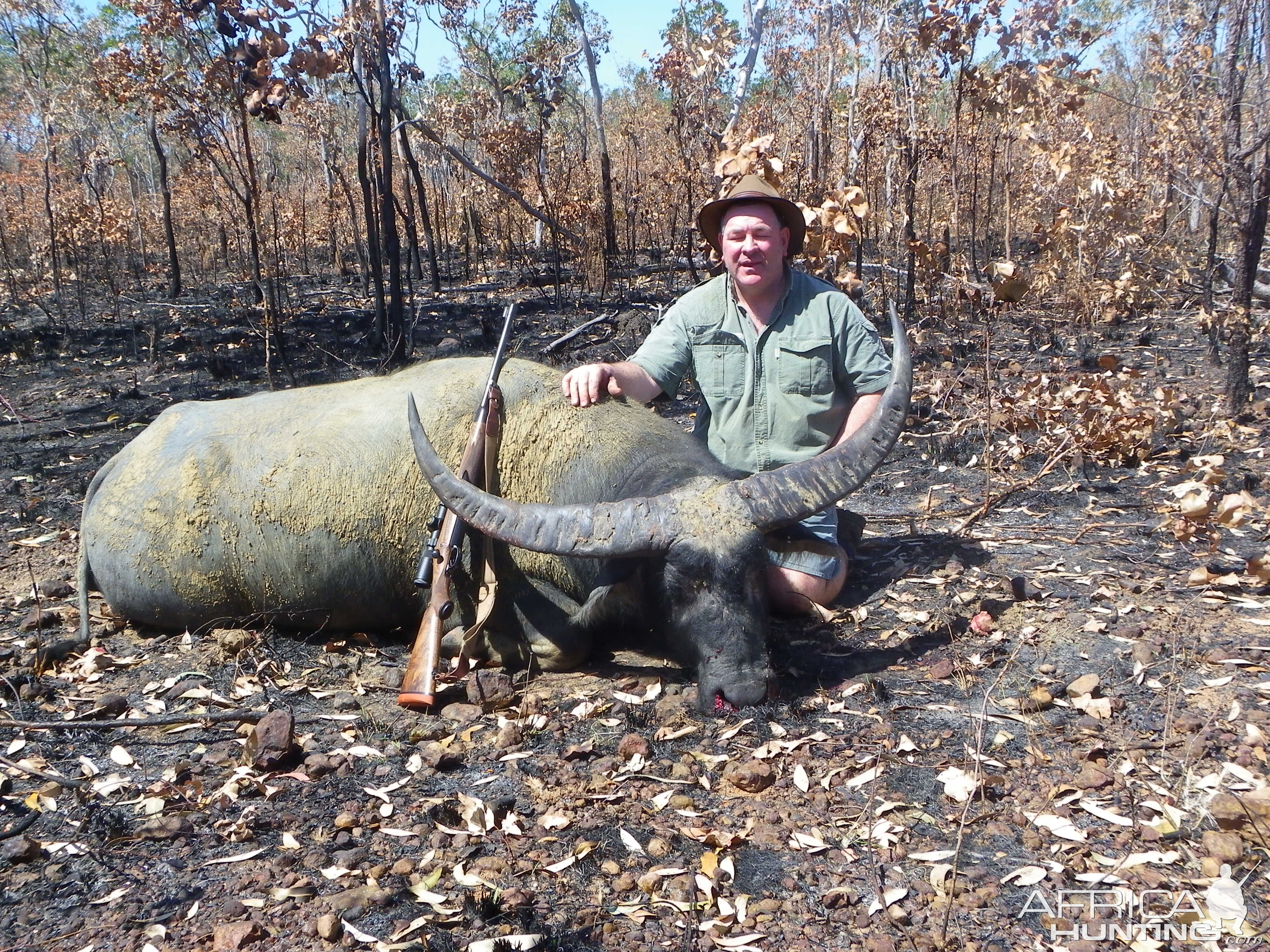 Buffalo Hunting Australia