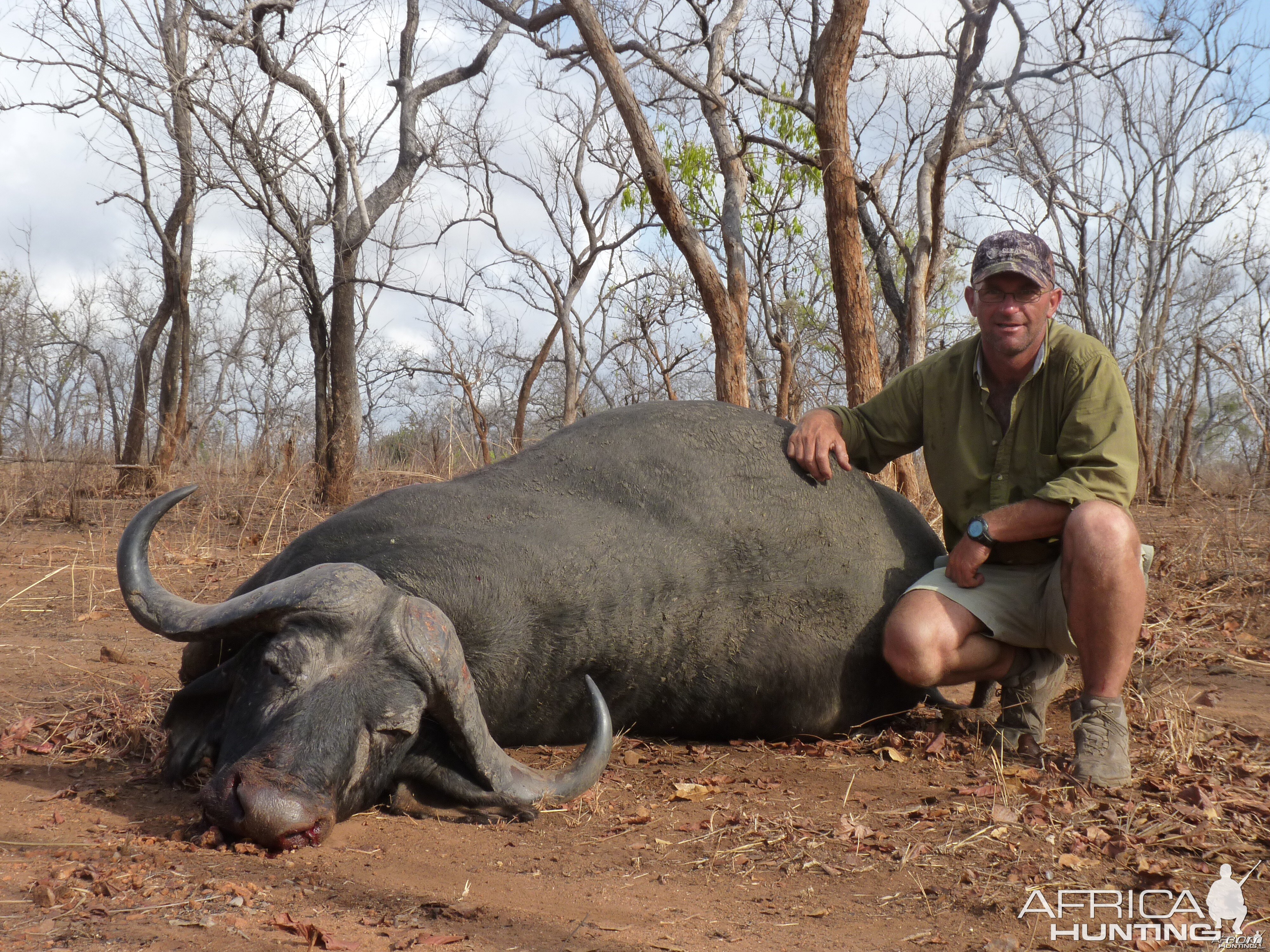 Buffalo hunting in Tanzania