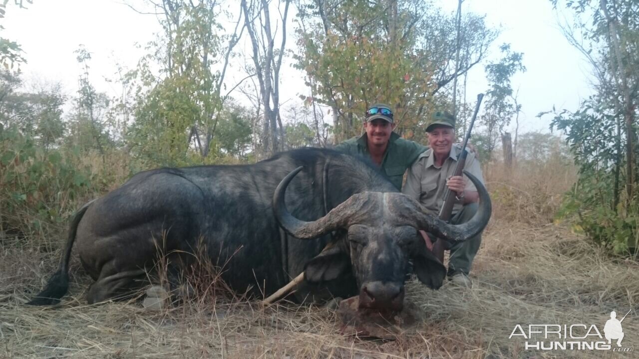 Buffalo Hunting in Zimbabwe