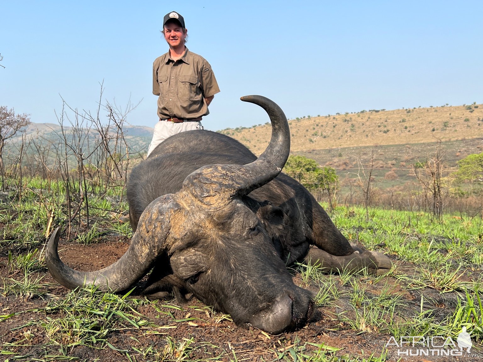Buffalo Hunting Kwazulu Natal South Africa
