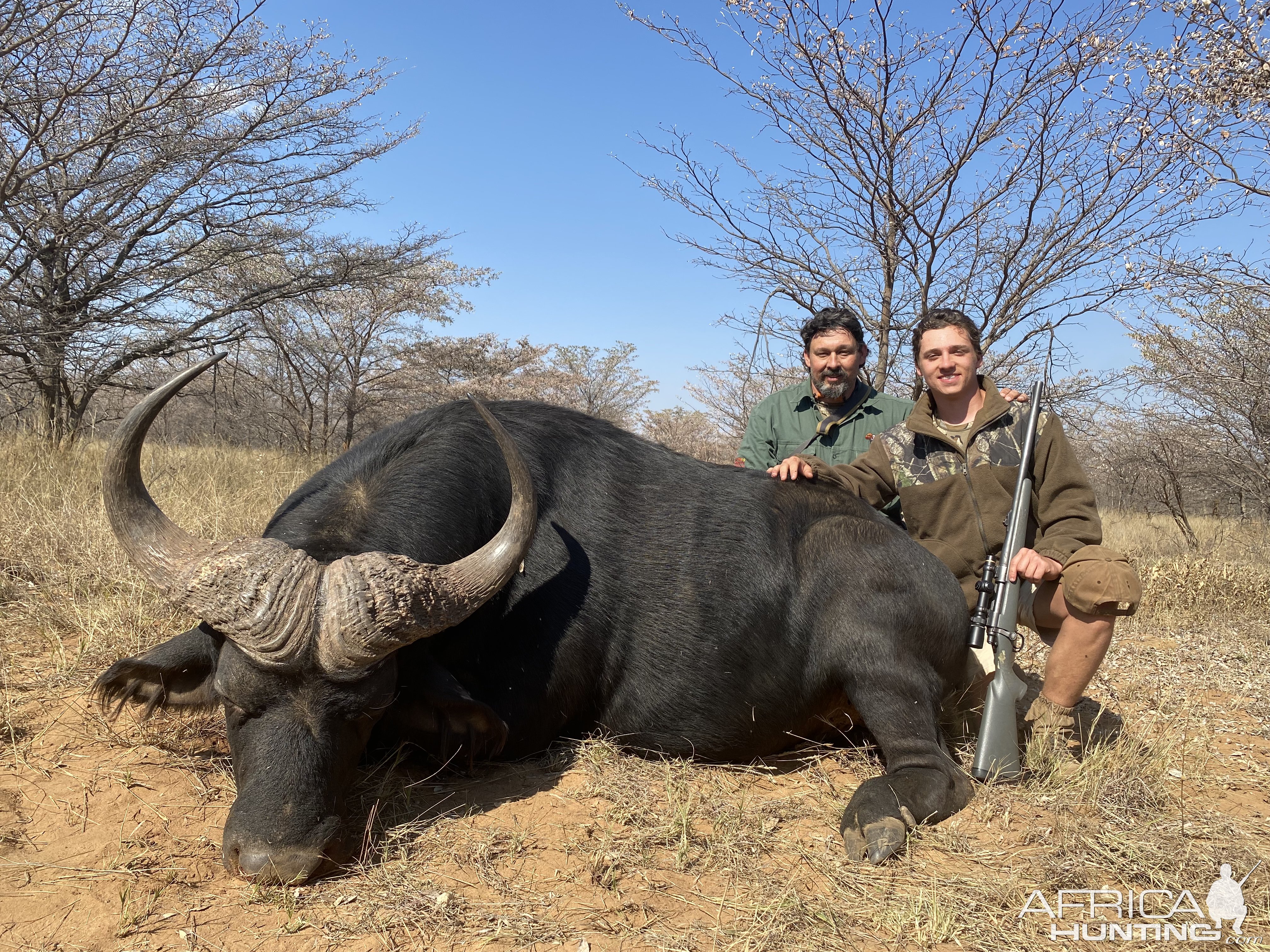 Buffalo Hunting Limpopo South Africa