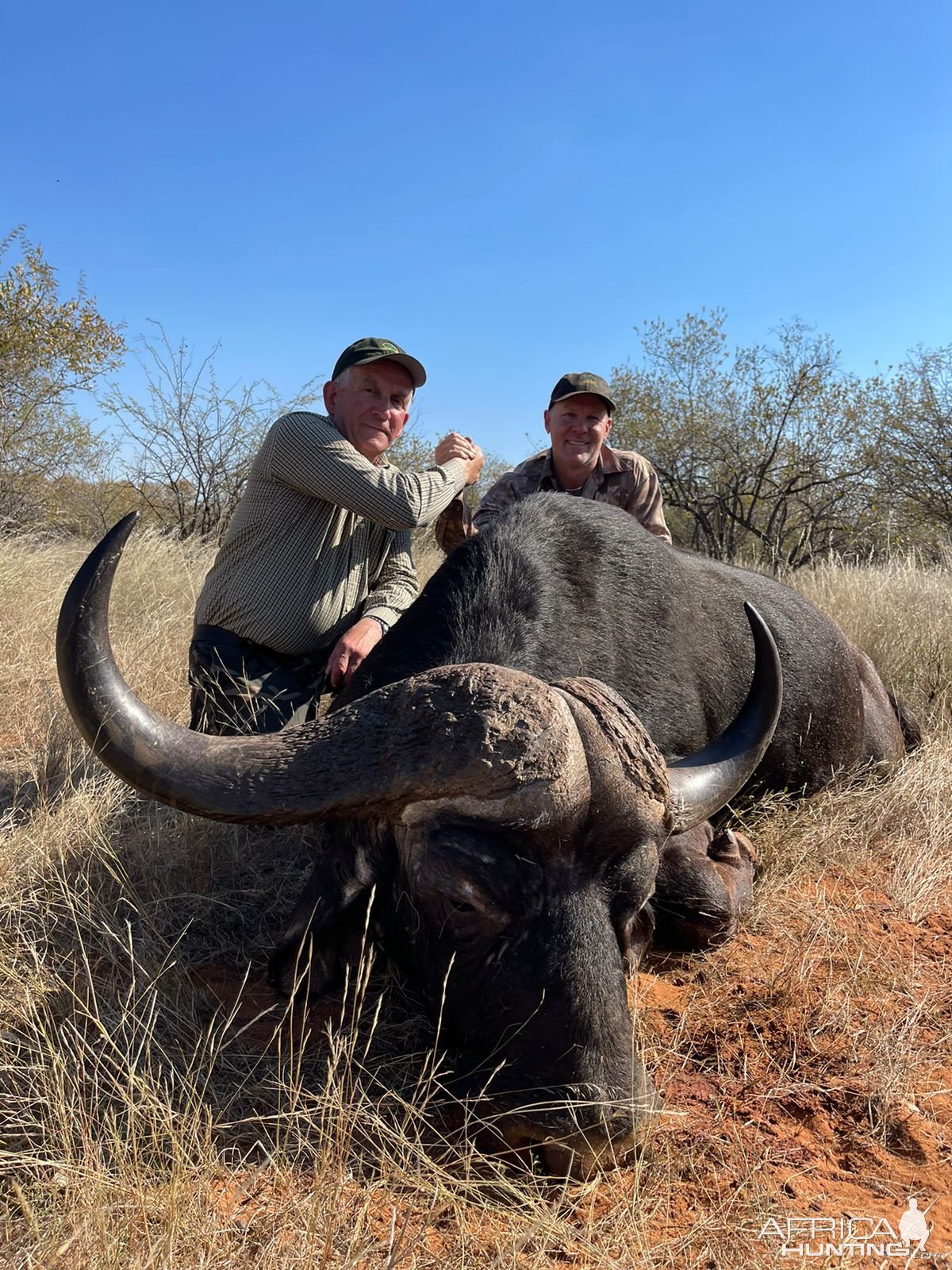 Buffalo Hunting Limpopo South Africa