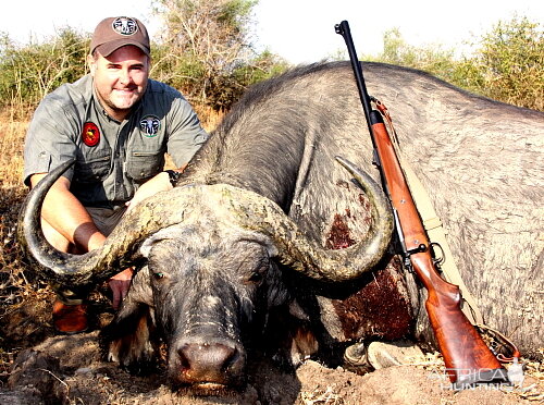 Buffalo Hunting Mozambique