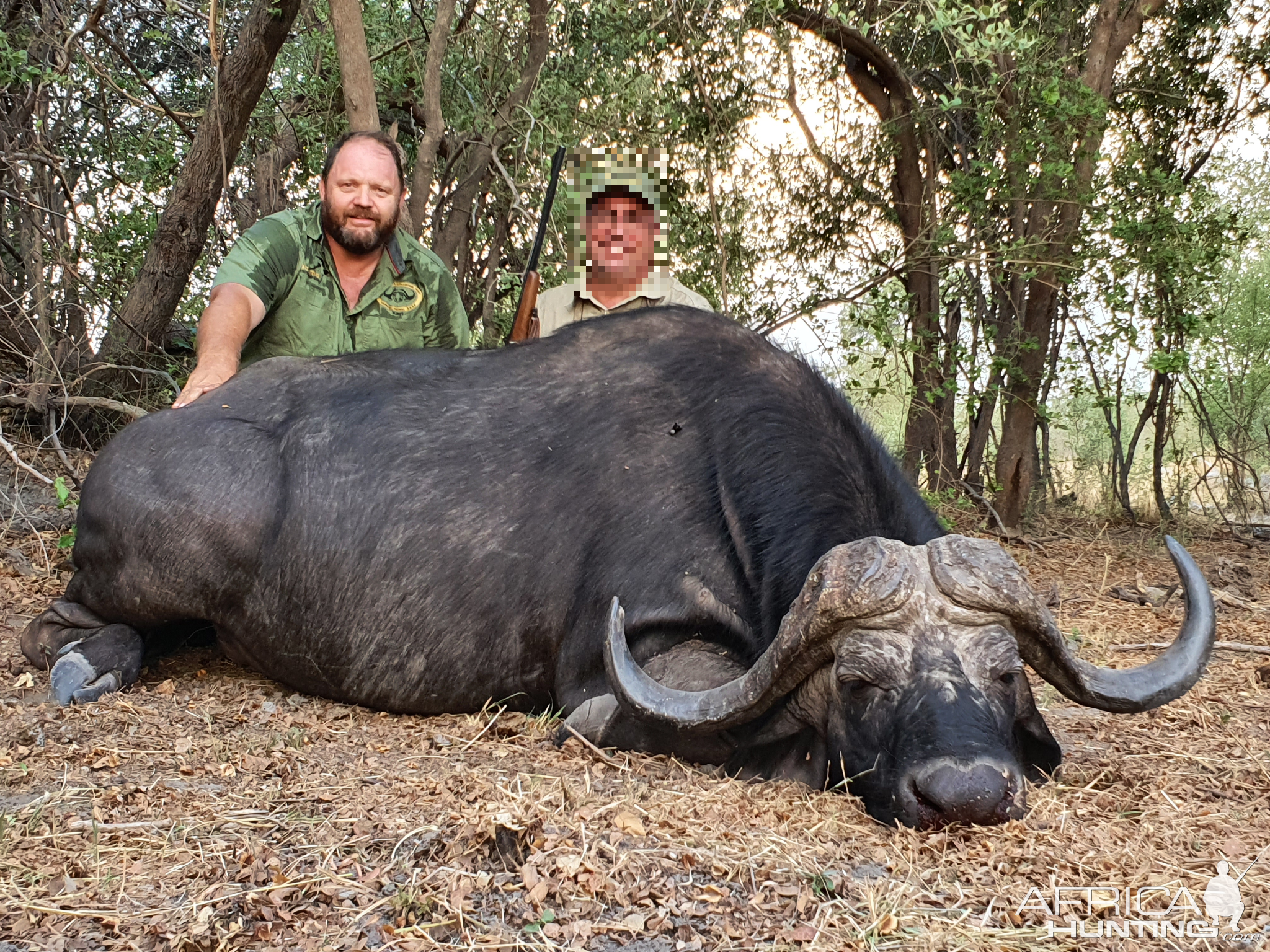 Buffalo Hunting Namibia
