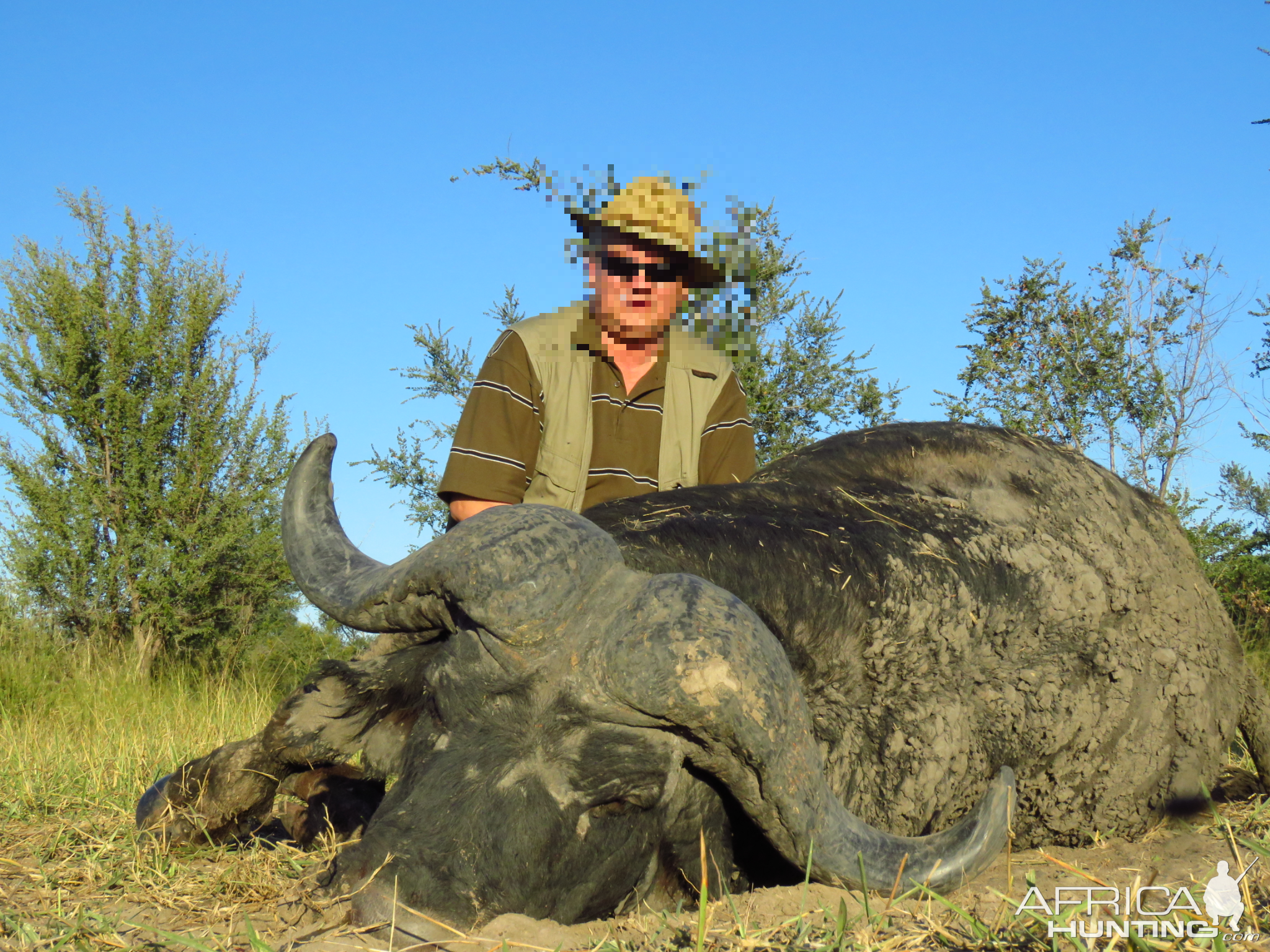 Buffalo Hunting Namibia