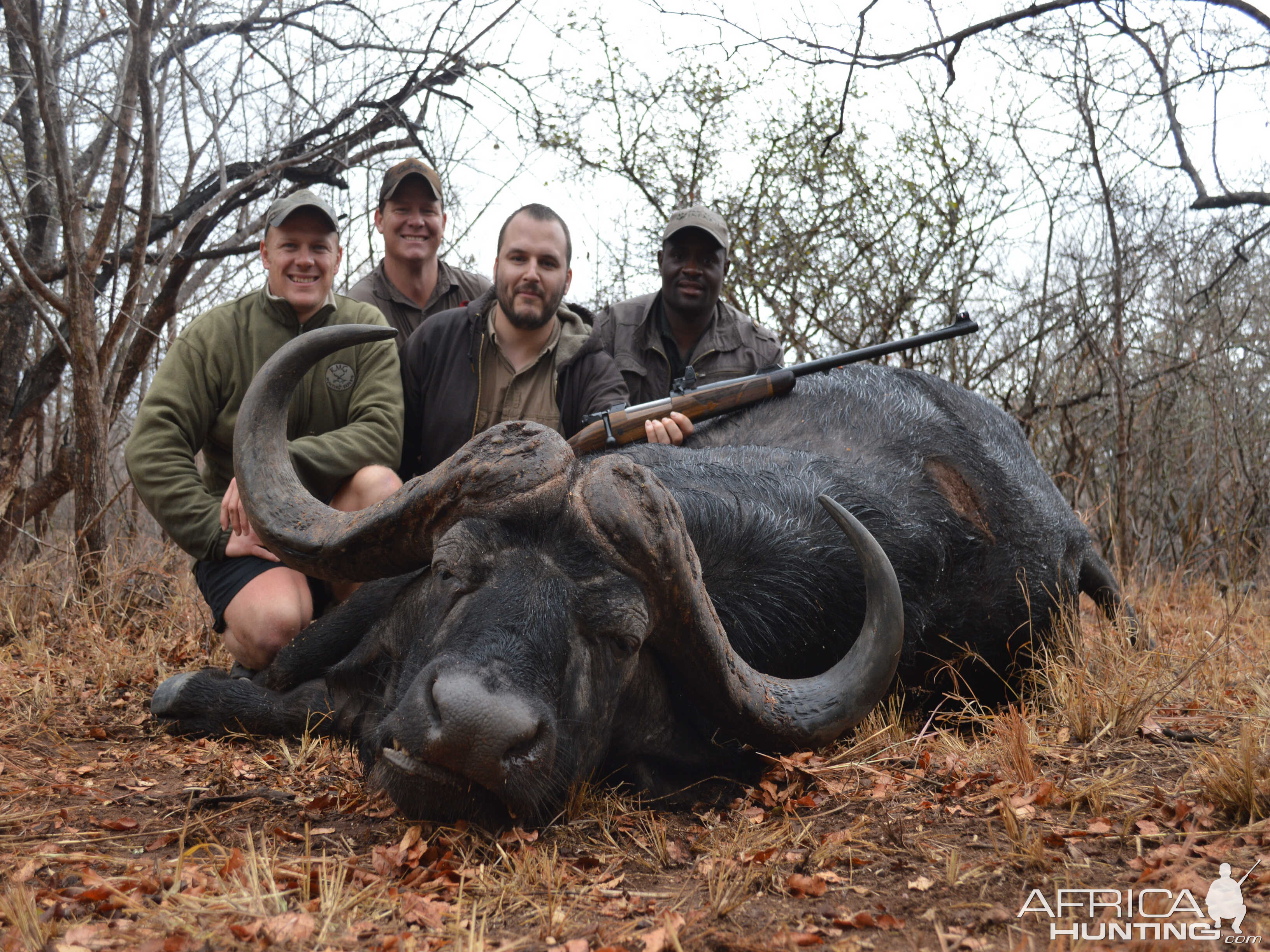 Buffalo Hunting South Africa