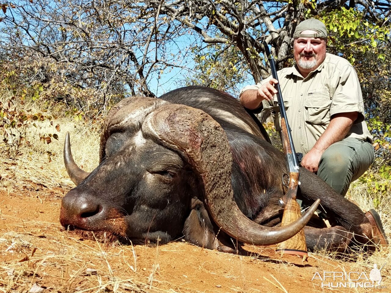 Buffalo Hunting South Africa