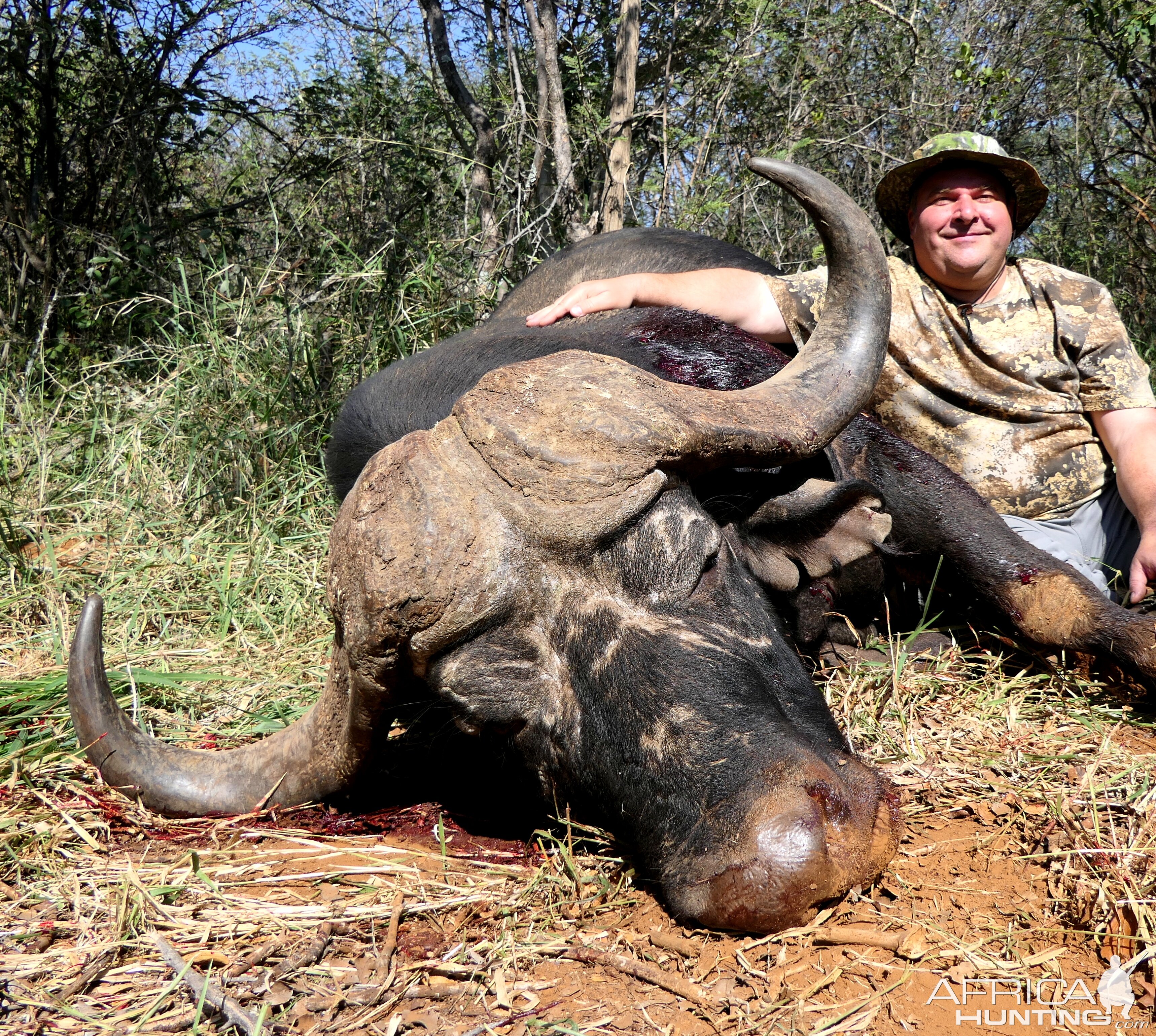 Buffalo Hunting South Africa