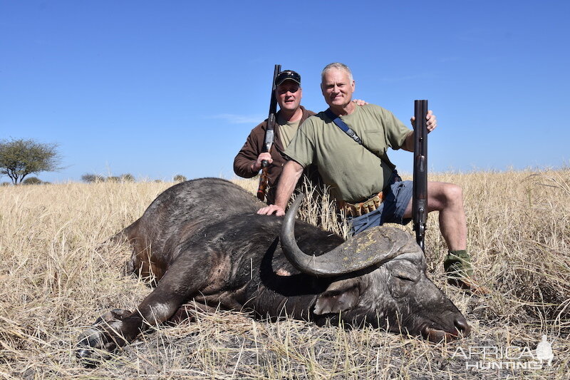 Buffalo Hunting South Africa