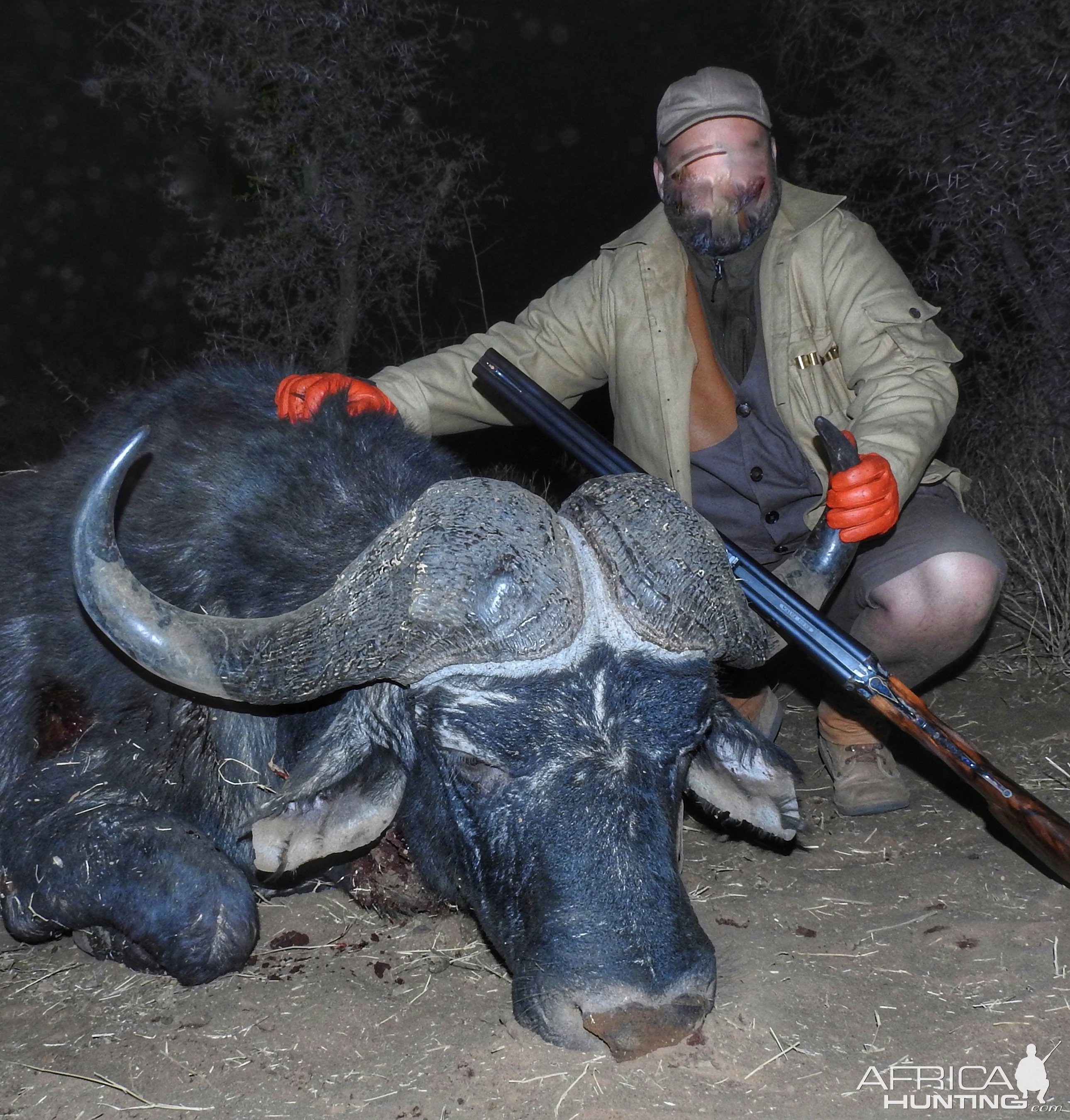 Buffalo Hunting South Africa