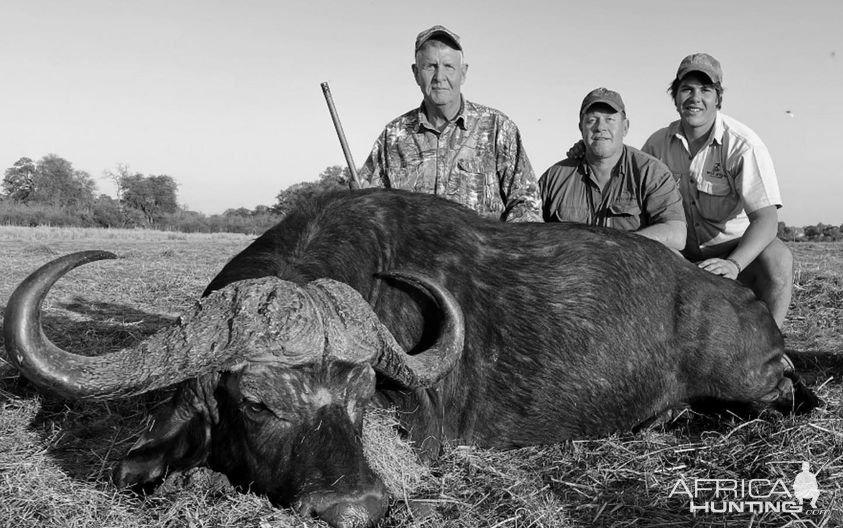 Buffalo Hunting South Africa