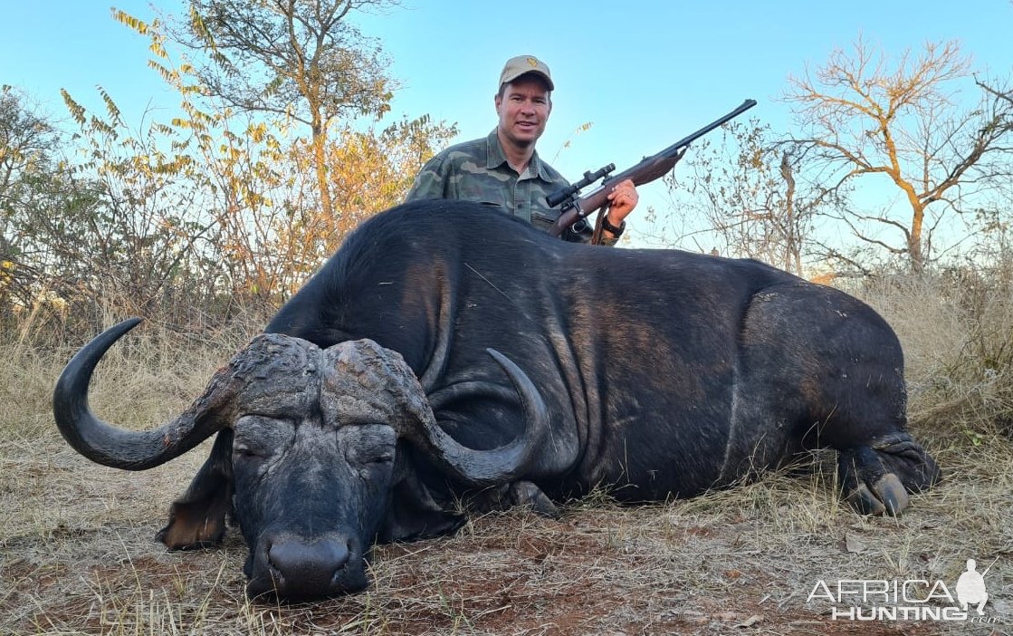 Buffalo Hunting South Africa