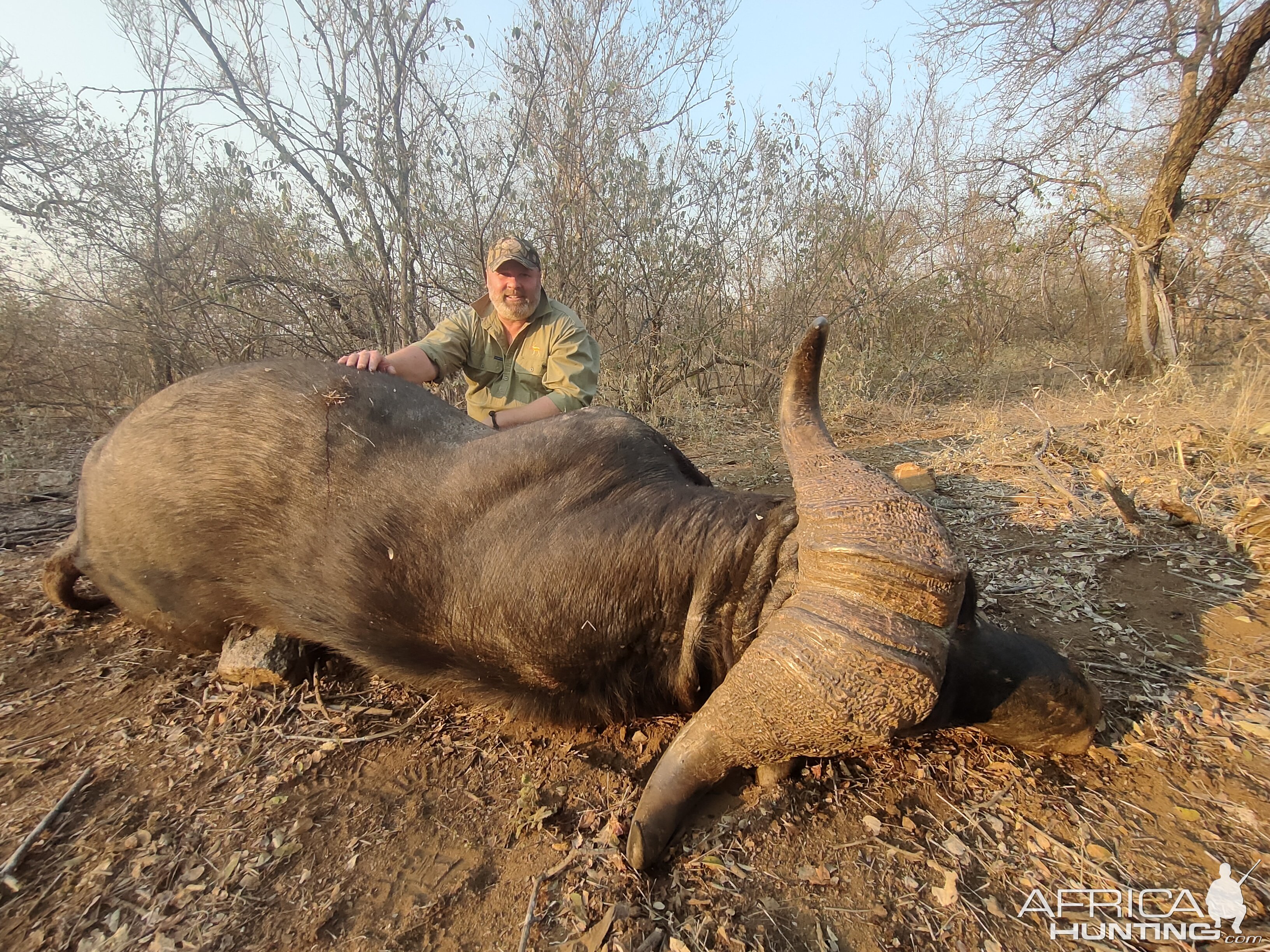 Buffalo Hunting South Africa