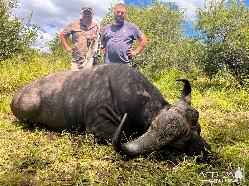 Buffalo Hunting South Africa