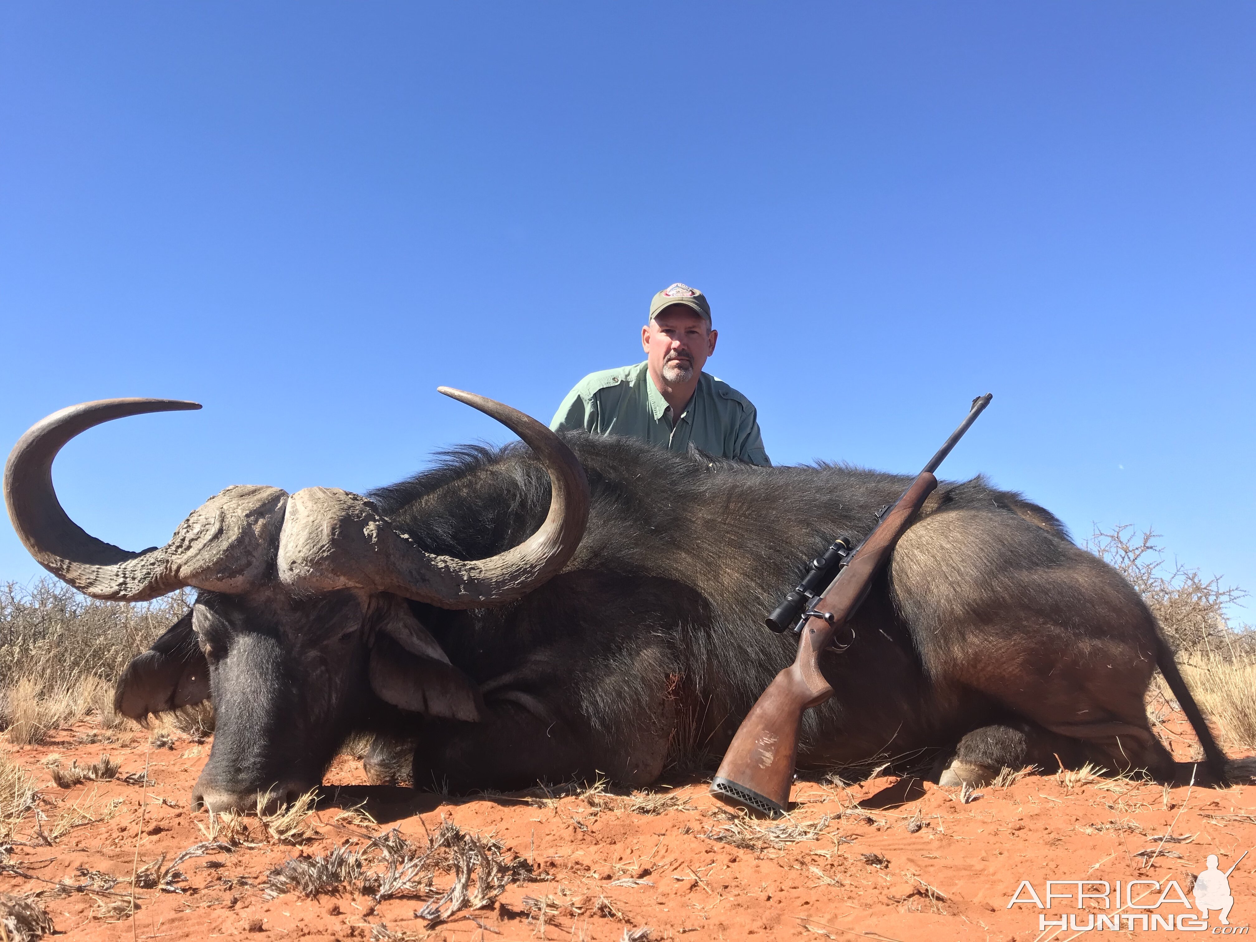 Buffalo Hunting South Africa