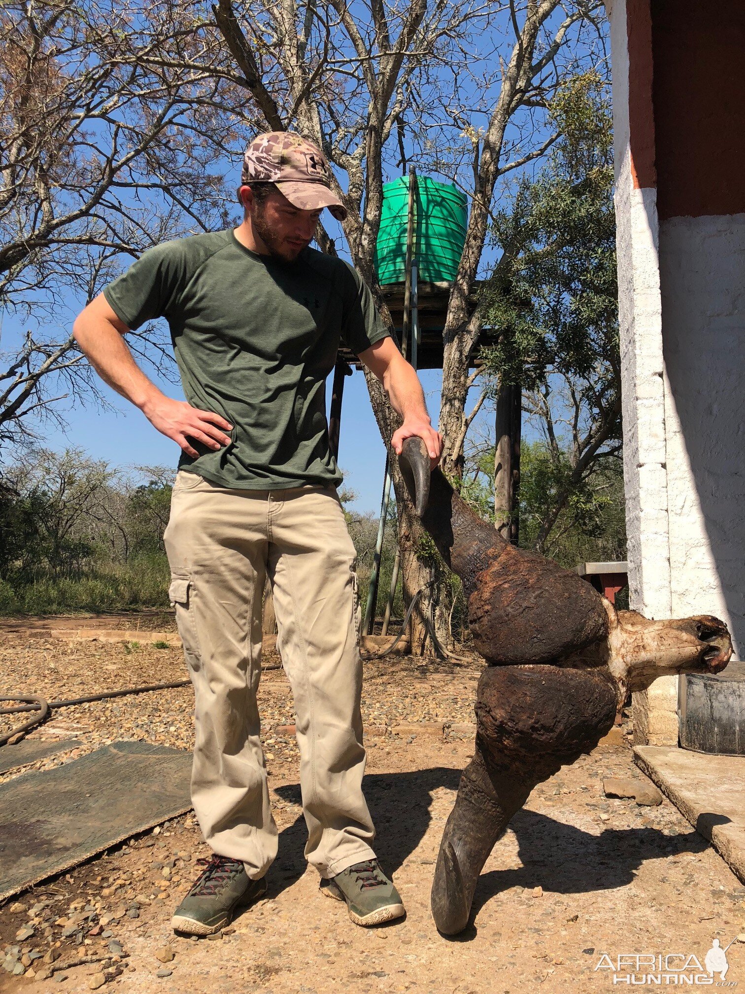 Buffalo Hunting South Africa