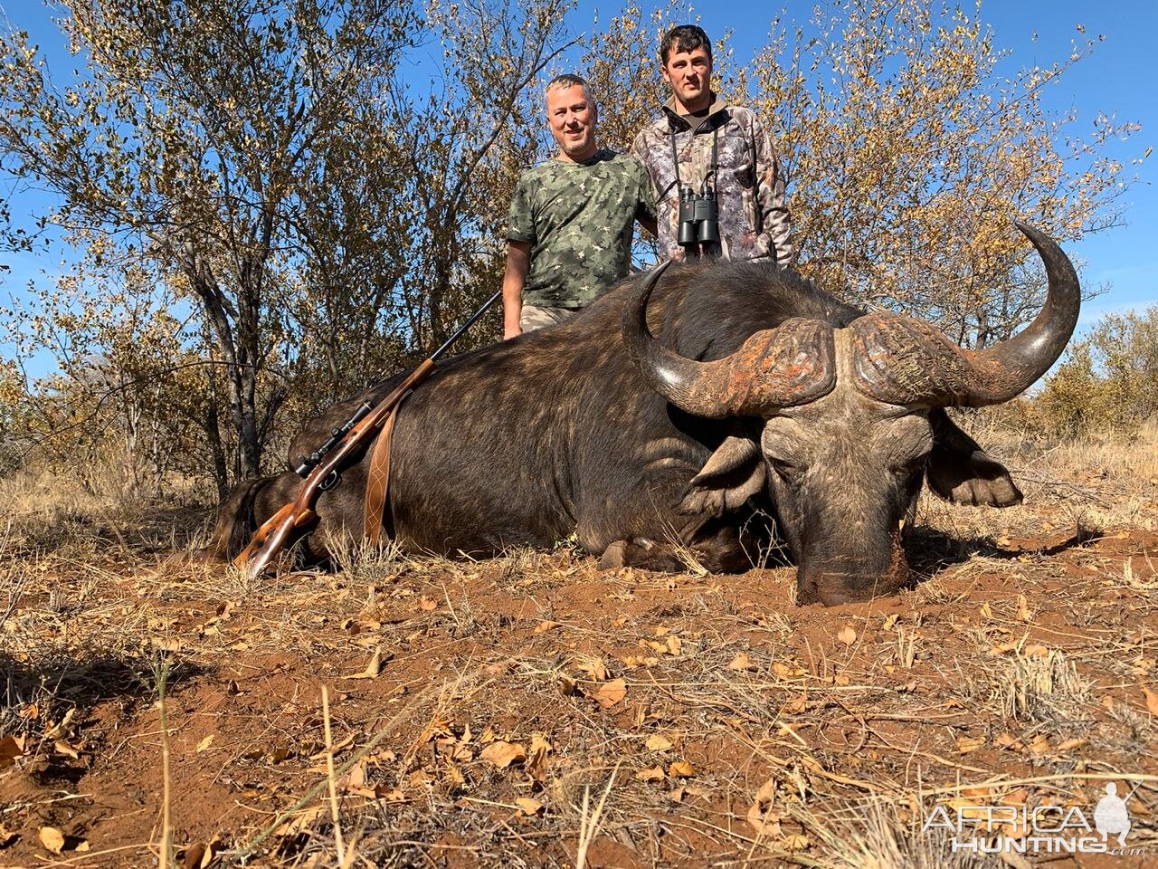 Buffalo Hunting South Africa