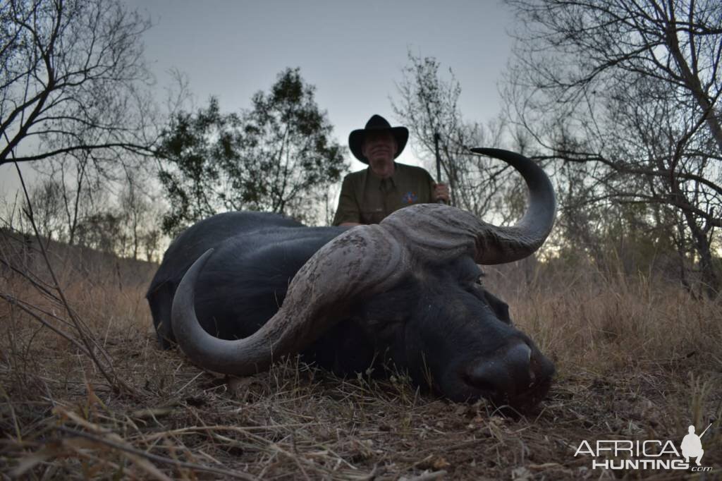 Buffalo Hunting South Africa