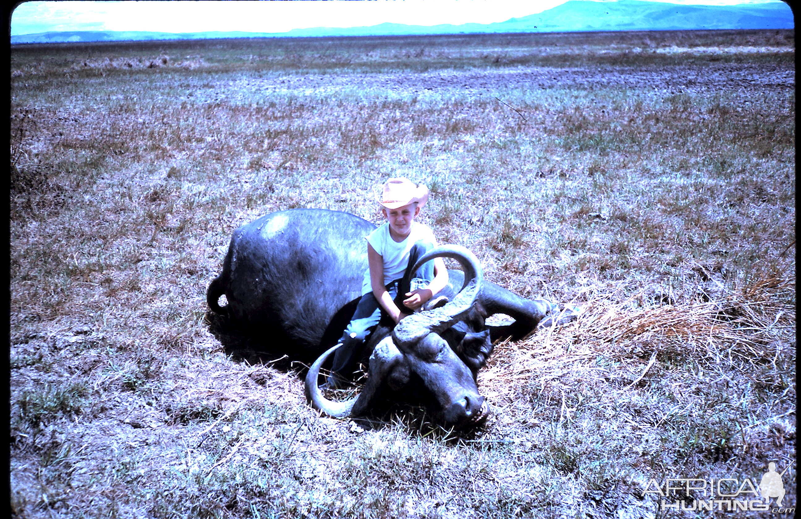 Buffalo Hunting Tanzania during 60's