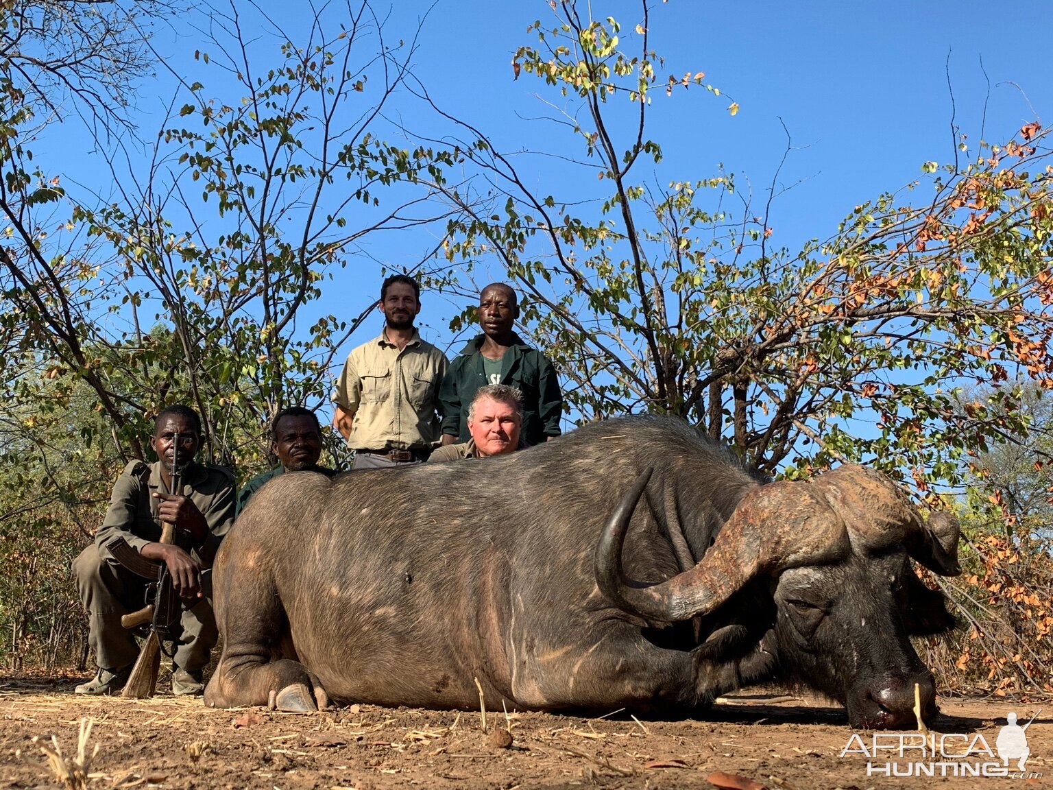 Buffalo Hunting Zambia