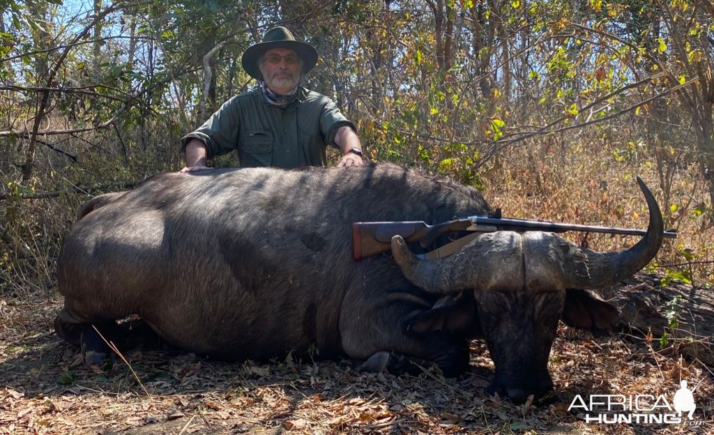 Buffalo Hunting Zimbabwe