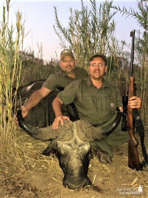 Buffalo Hunting Zimbabwe