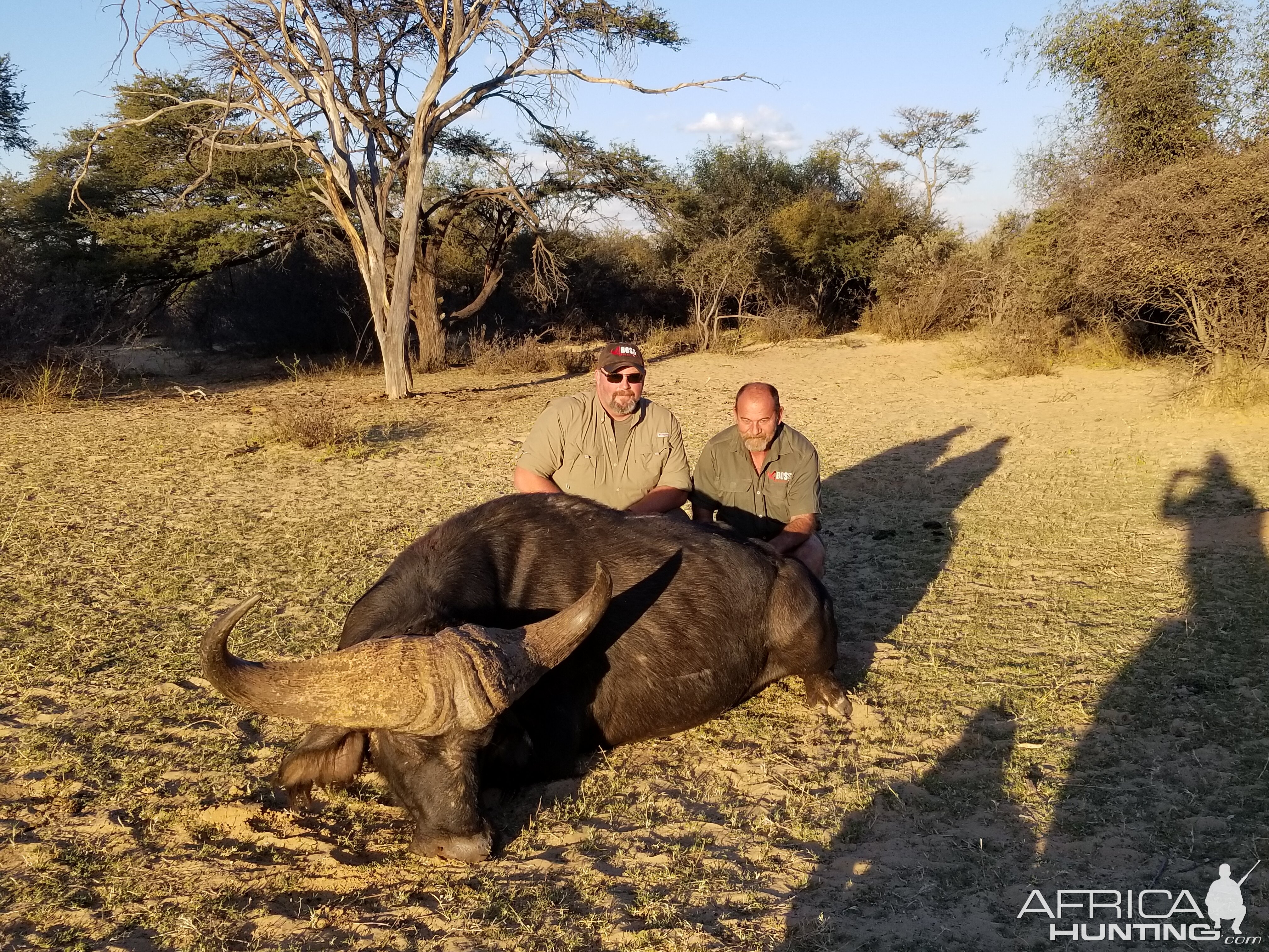 Buffalo Hunting