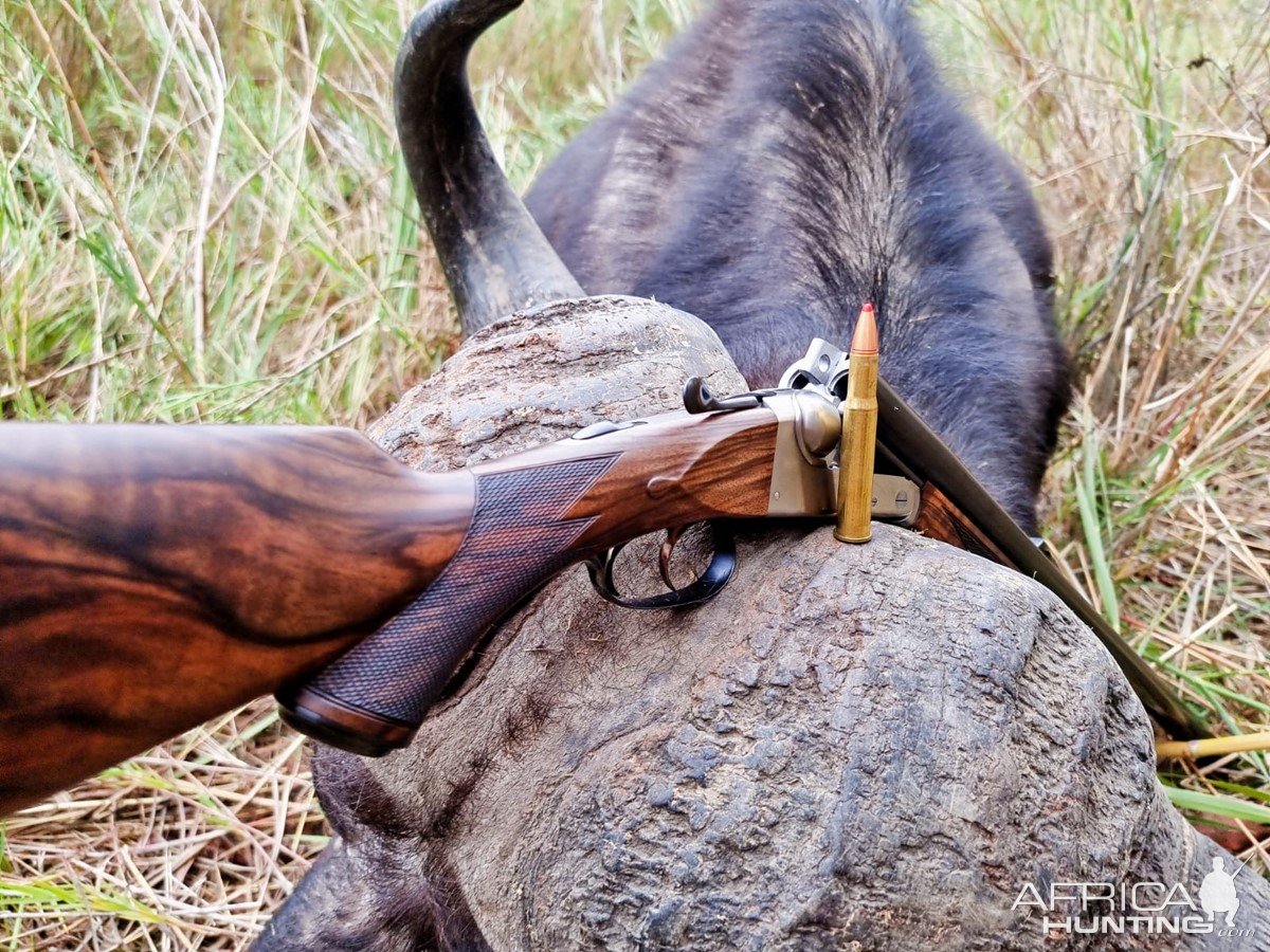 Buffalo Hunting