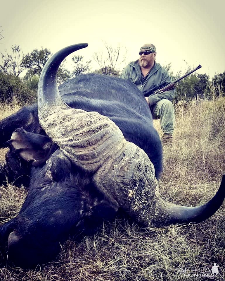 Buffalo Hunting