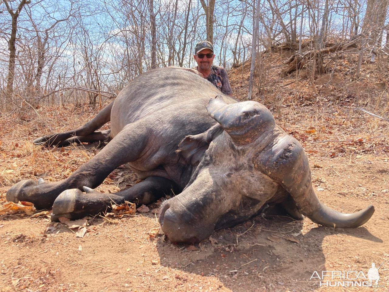 Buffalo Hunting